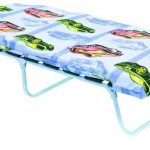 صدفي الأزرق