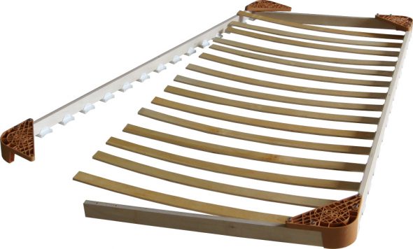 مؤسسة العظام