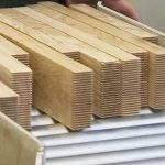 لاميلا المخطط