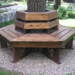 مقعد حول شجرة