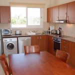 غسالة في سماعة البني