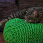 pouf محبوك مع القط