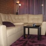 الأرائك الجلدية البيئية في الداخل