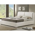 الايكولوجية الجلود السرير