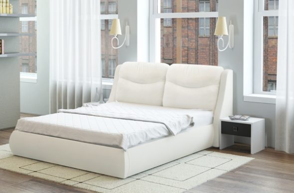 الايكولوجية الجلود سرير