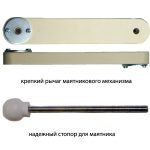 آلية البندول مع عنصر رافعة