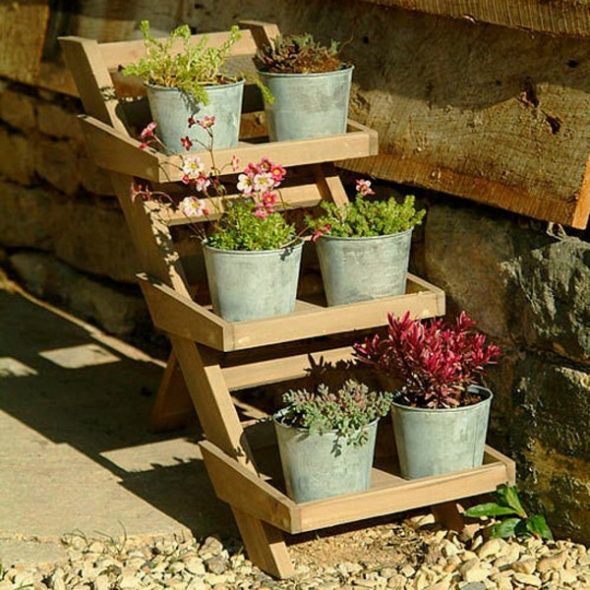 الأفكار الأصلية من تقف زهرة