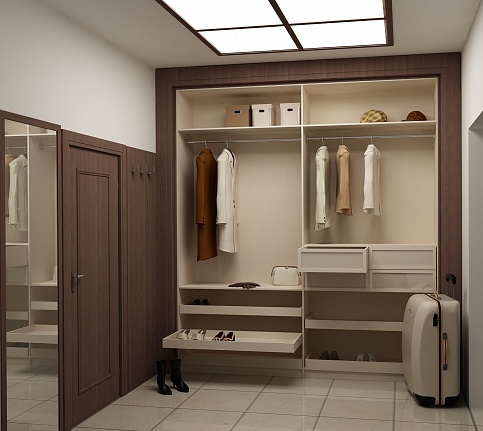 تصميم خزانة في الردهة