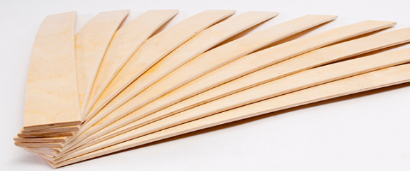 البتولا lamellas