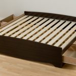 شرائح قاعدة سرير العظام