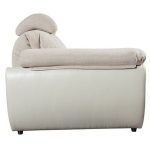 المجرة أريكة التشريحية