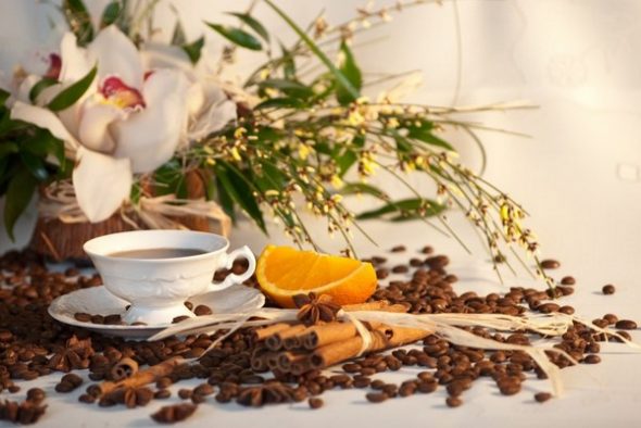Dụng cụ tiện dụng chống lại mùi của đồ nội thất mới và cũ