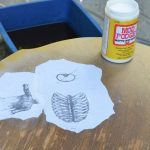 الجدول دكبج المناديل