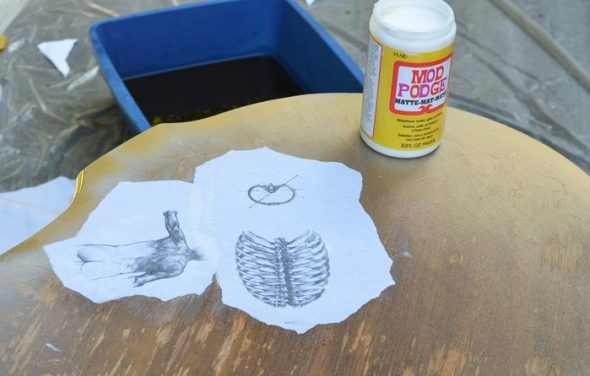 الجدول دكبج المناديل