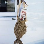 أشعل النار الأسماك