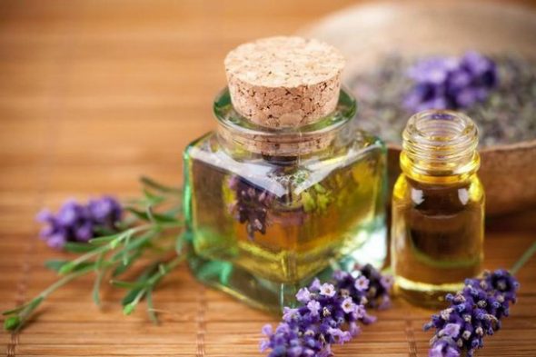 loại bỏ mùi của đồ nội thất mới