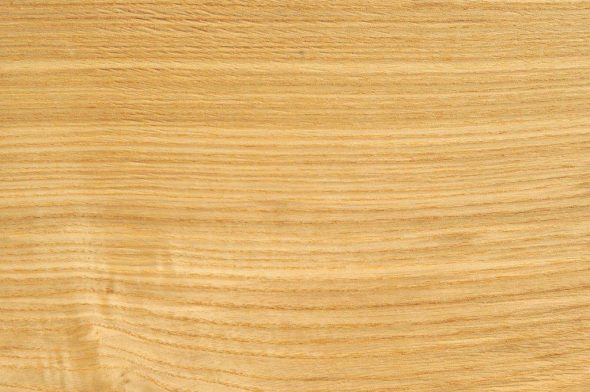 القشرة المخطط البلوط ارتفع