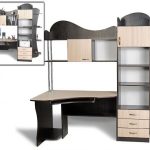 مكتب الكمبيوتر ليون