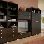 الأثاث القشرة