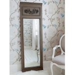 نوع من مرآة الأرض