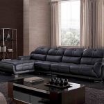 الأرائك الجلدية في الداخل