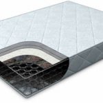 فراش الربيع العادي