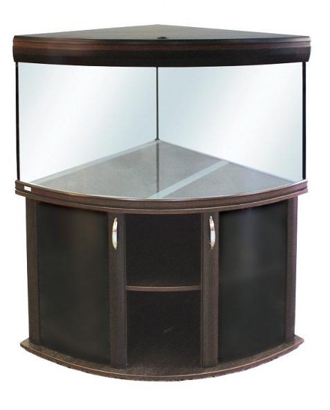 رفوف لحوض السمك