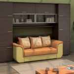 سرير أريكة لشقة من غرفة واحدة