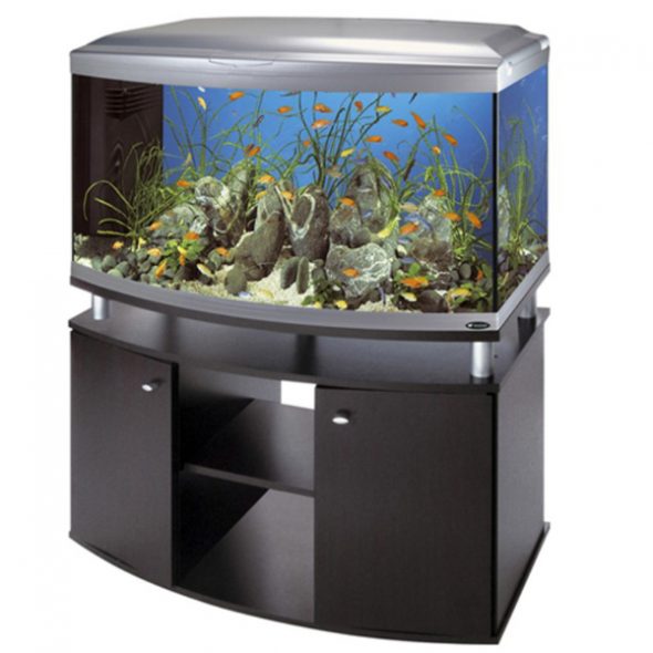 حجر الرصيف تحت منظر الحوض