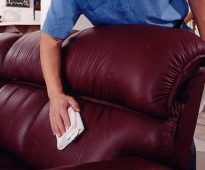 الرعاية البيئية الجلود