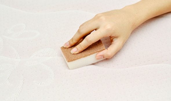 تنظيف الأريكة