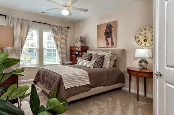 صورة الحيوان