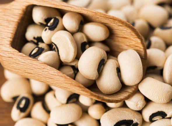 حشو الفاصوليا