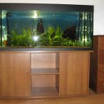 قاعدة التمثال لحوض السمك 500 لتر