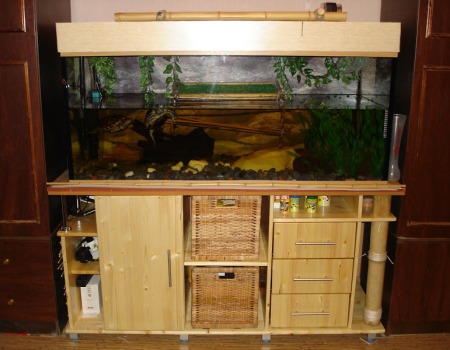 قاعدة التمثال لحوض السمك في الداخل