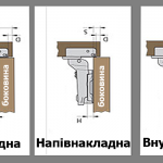 ينقسم كل نوع من هذه الحلقات إلى سلالات فرعية.