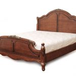 الصورة شجرة العائلة الطبيعية