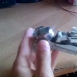 حلقة UE محول