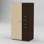 مجلس الوزراء 19 رفيق