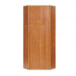 موريس ركن مجلس الوزراء