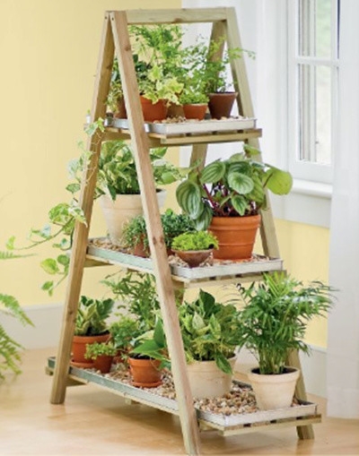 رفوف للنباتات في غرفة المعيشة