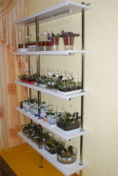 رف من عتبة النافذة