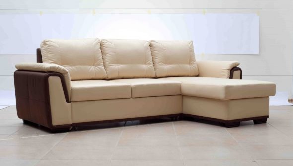 ركن الدلفين