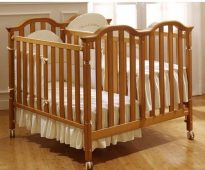 لشجرة التوائم