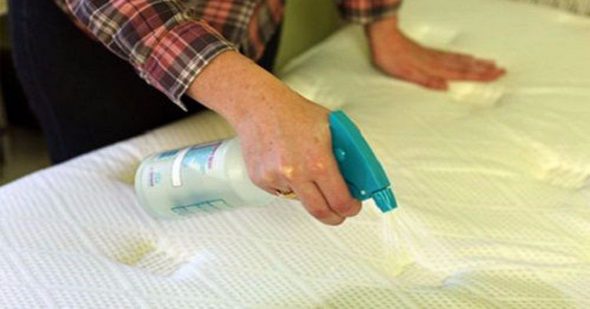 إزالة وصمة عار من الأريكة