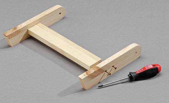 التجمع الساق