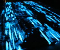 لصناعة متوهجة الحاجة إلى اتخاذ لوحات السرو