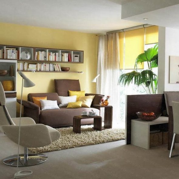 فوق الأريكة ، يمكنك تعليق الأرفف لتخزين تفاصيل إضافية.