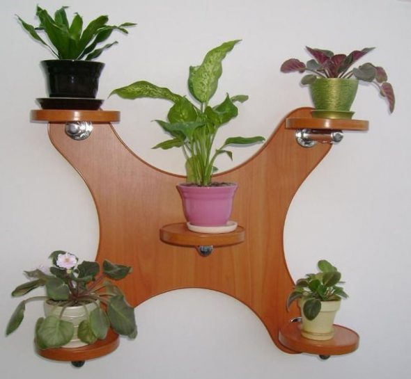 تقف زهرة على الحائط