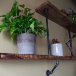 الجرف زهرة غير المعالجة